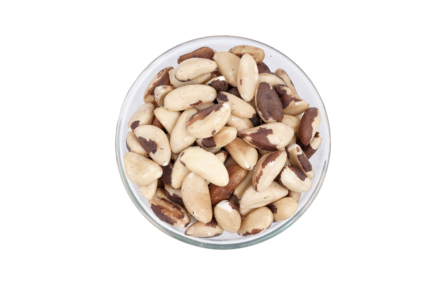 BRAZIL NUT