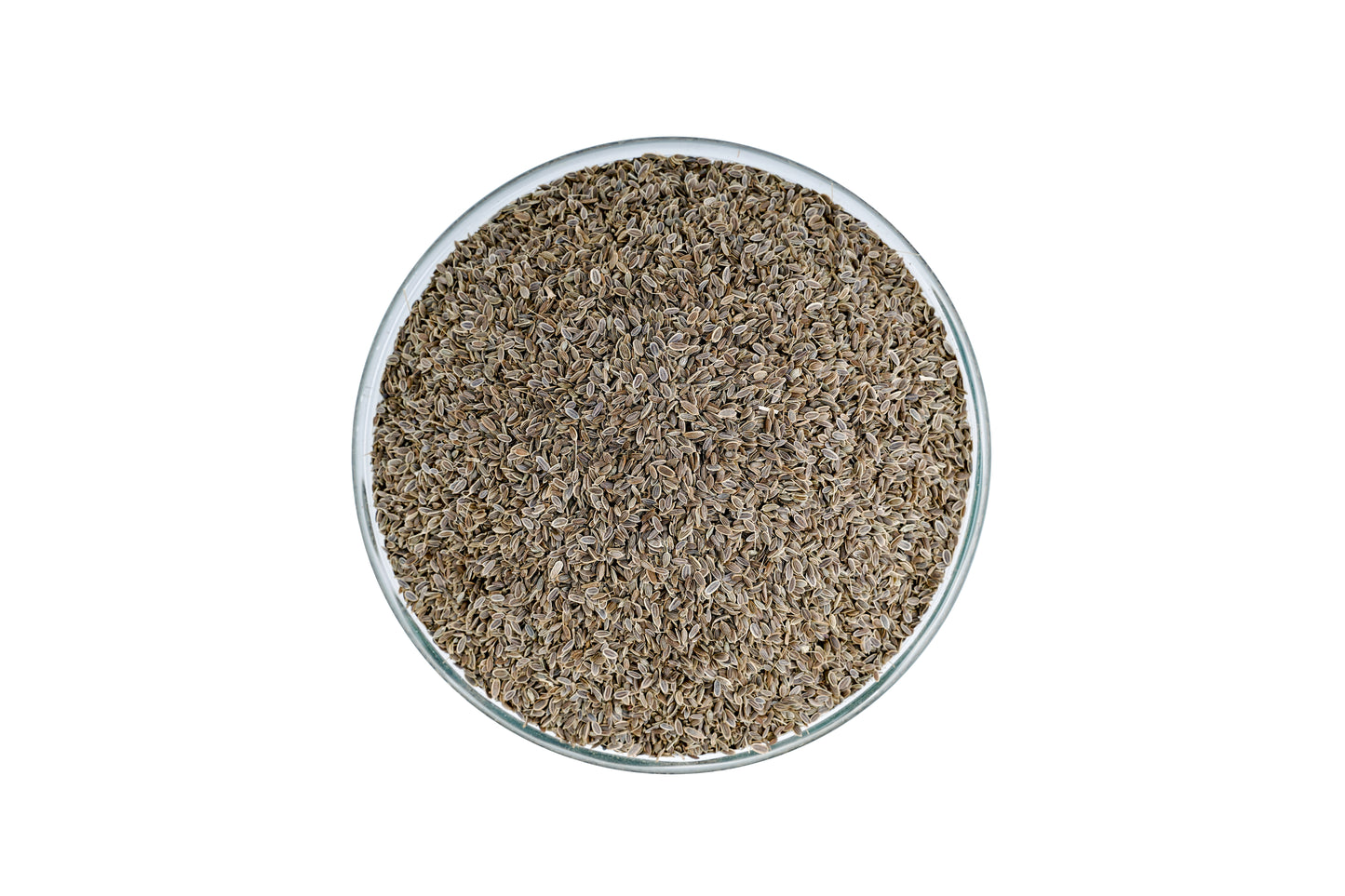 CHATHUKKUPPA (DILL SEED)