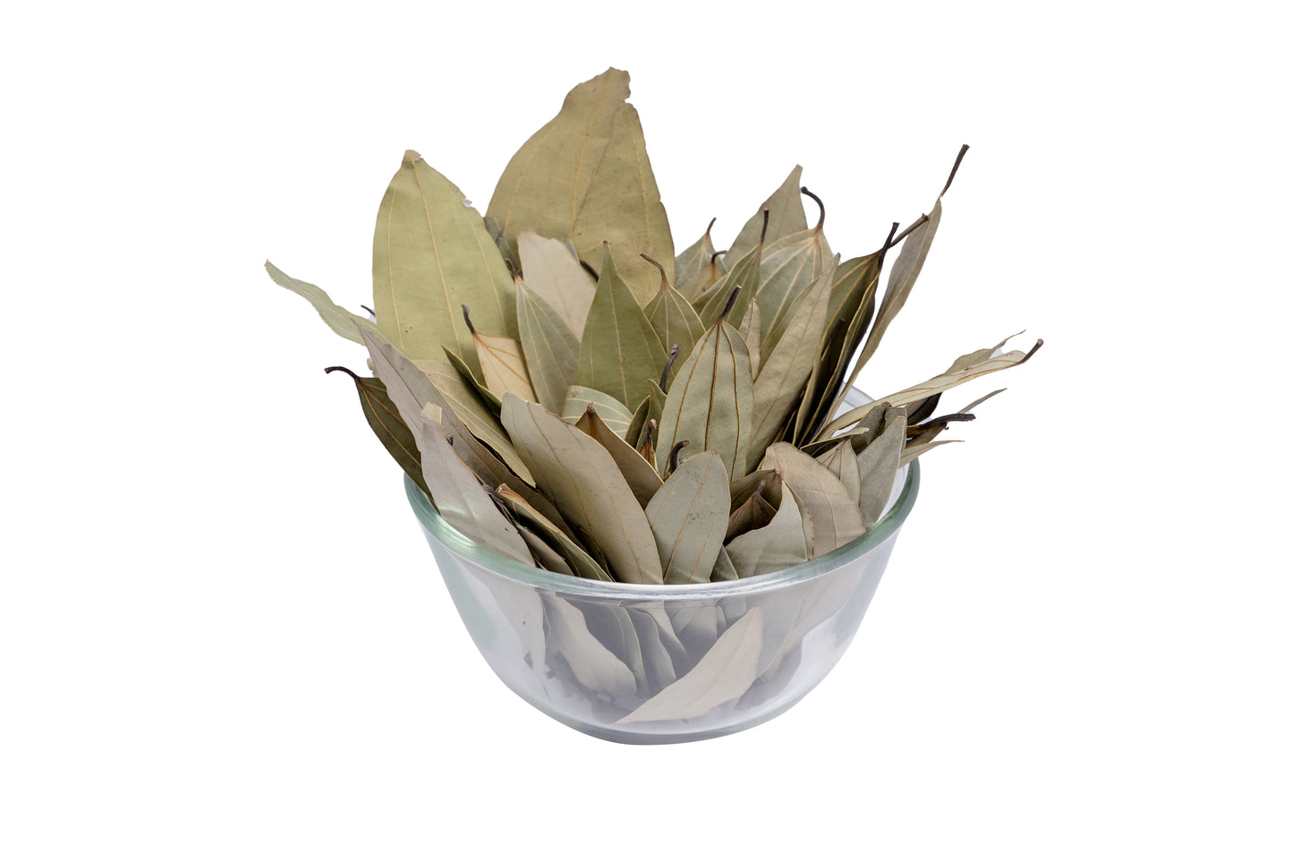 BAY LEAF